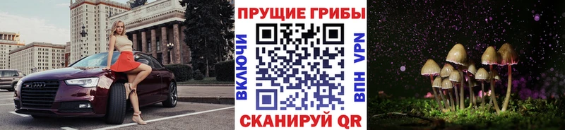 ОМГ ОМГ зеркало  где купить   Дорогобуж  Галлюциногенные грибы ЛСД 